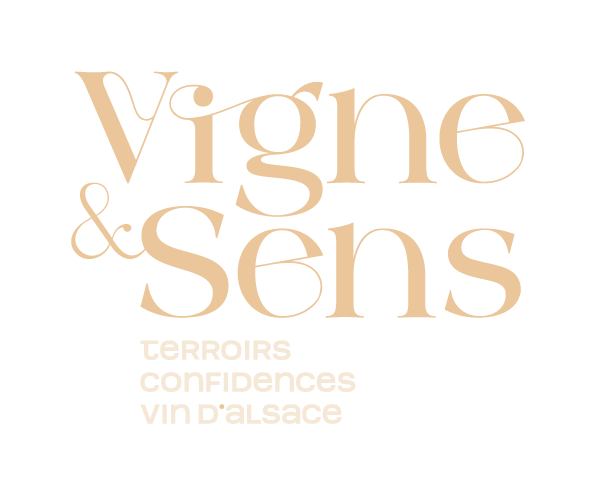 VIGNE & SENS