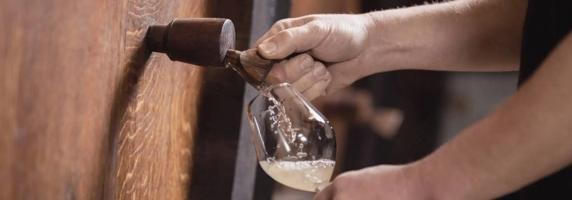 Cave Degustation