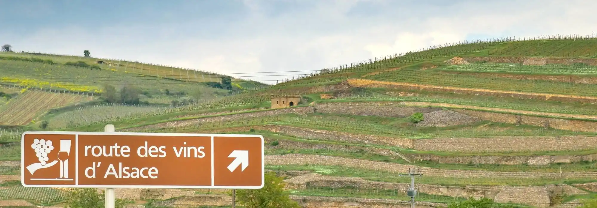 Route Des Vins